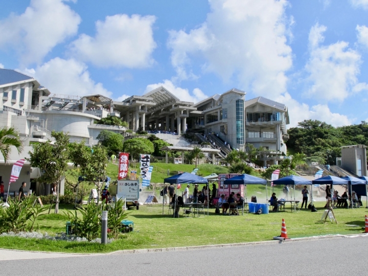 【Okinawa．走跳】沖繩北部美麗海水族館超療癒黑潮之海賞鯨鯊