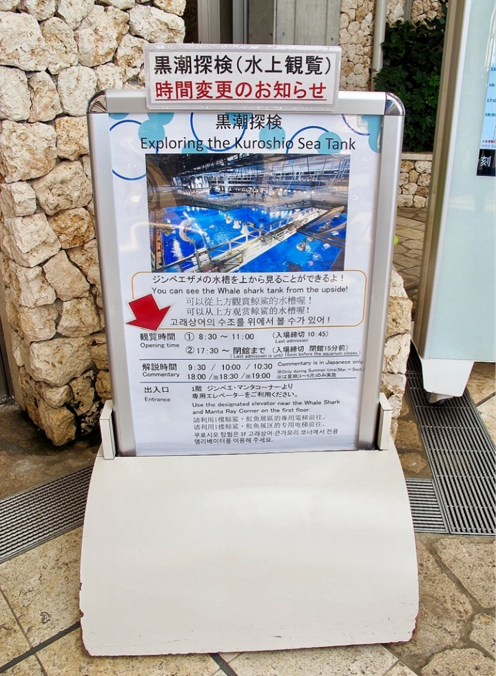 【Okinawa．走跳】沖繩北部美麗海水族館超療癒黑潮之海賞鯨鯊