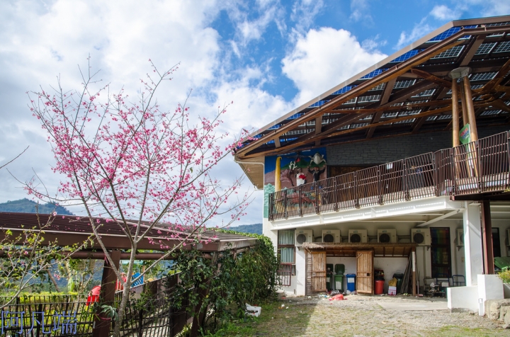 高雄~那瑪夏瑪雅部落(桃花&李花&櫻花)+呼瑪休閒農場+民權國小綠建築