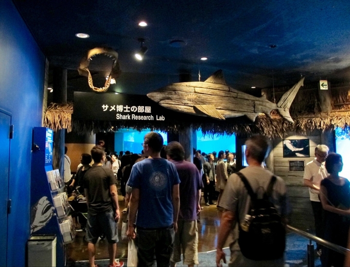【Okinawa．走跳】沖繩北部美麗海水族館超療癒黑潮之海賞鯨鯊