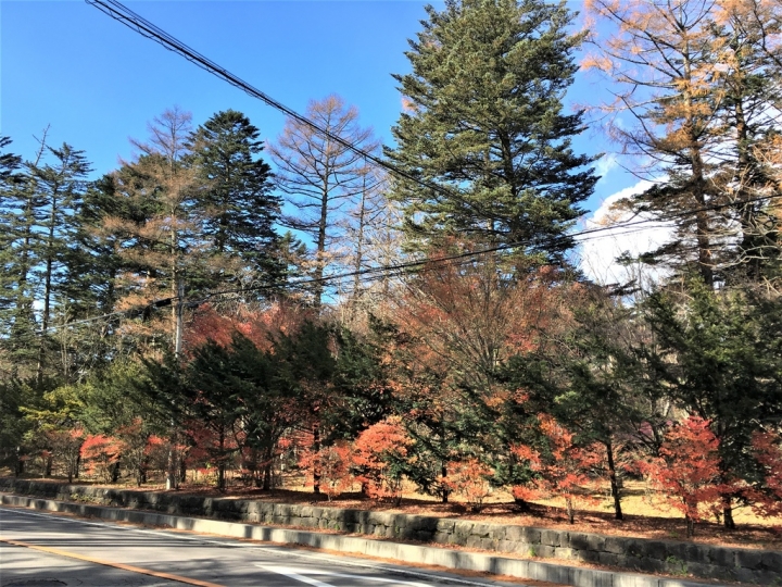 ＜日本＞2017放風行DAY2~輕井澤美景、意外的雲場池、舊銀座通上集