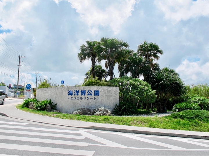【Okinawa．走跳】沖繩北部美麗海水族館超療癒黑潮之海賞鯨鯊