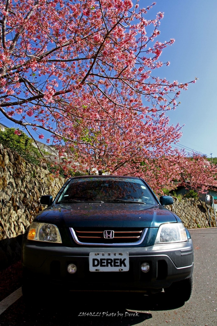 《開箱囉》你才HONDA，你全家都HONDA！