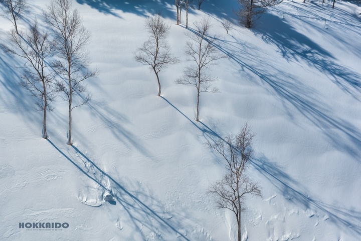【D750&D700】一年一度雪國親子遊（圖多、後製）