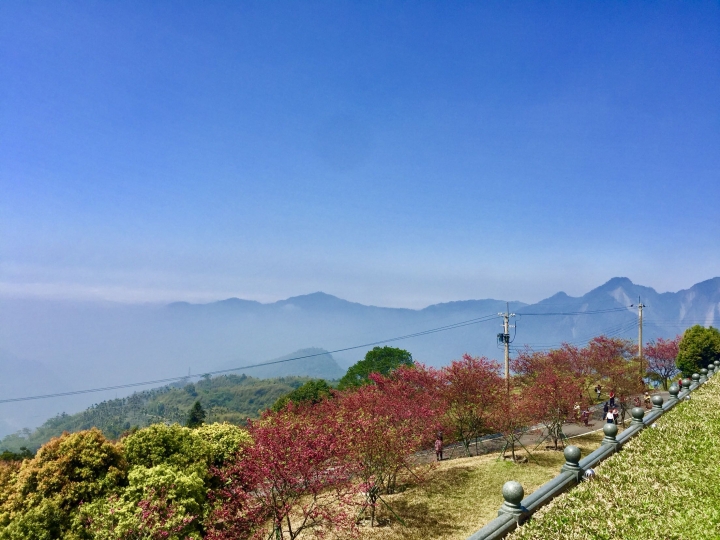 雪的單車遊記～虐人之嘉130公田彌陀禪寺