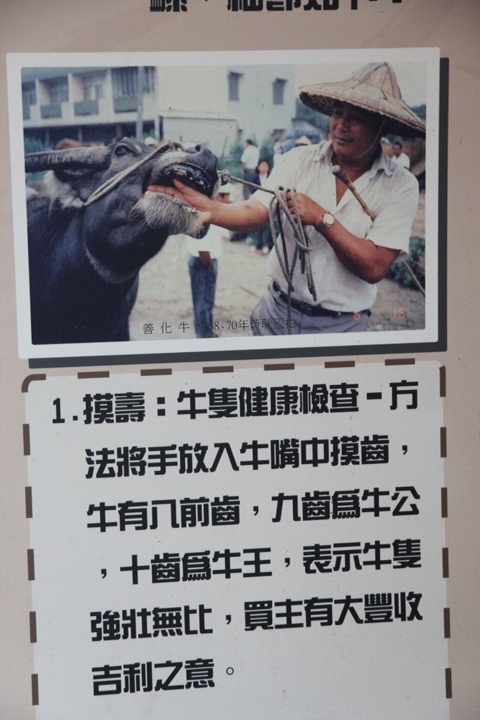 騎 遊 鹽 水 老 街 ， 探 尋 月 港 風 華