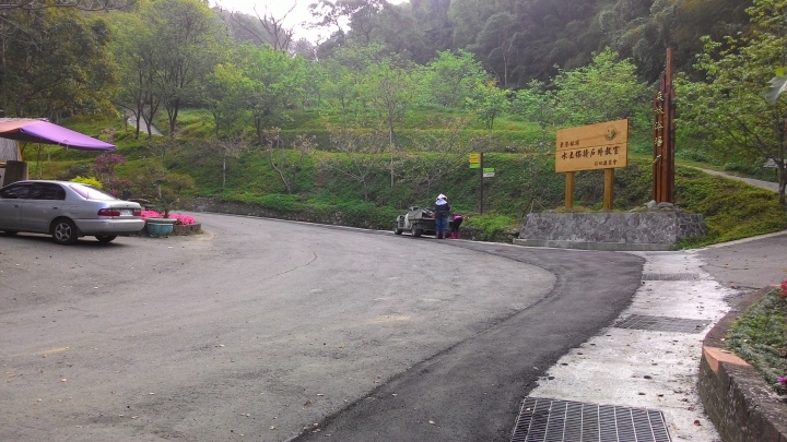 櫻花之旅-東勢林場+泰安派出所
