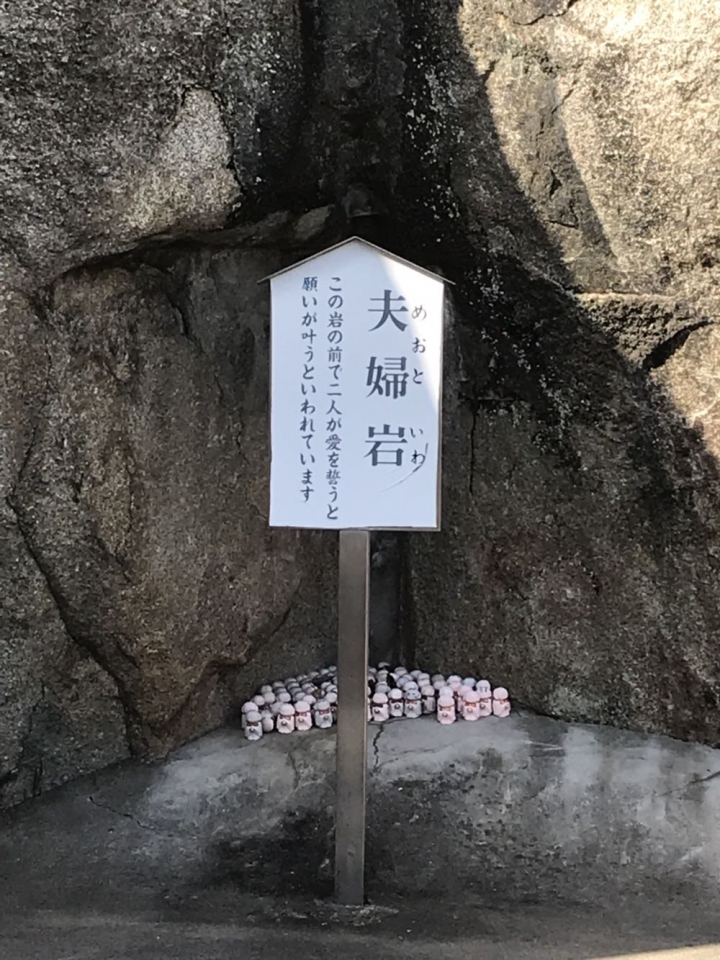我的日本自由行第三天(尾道櫻花🌸行）
