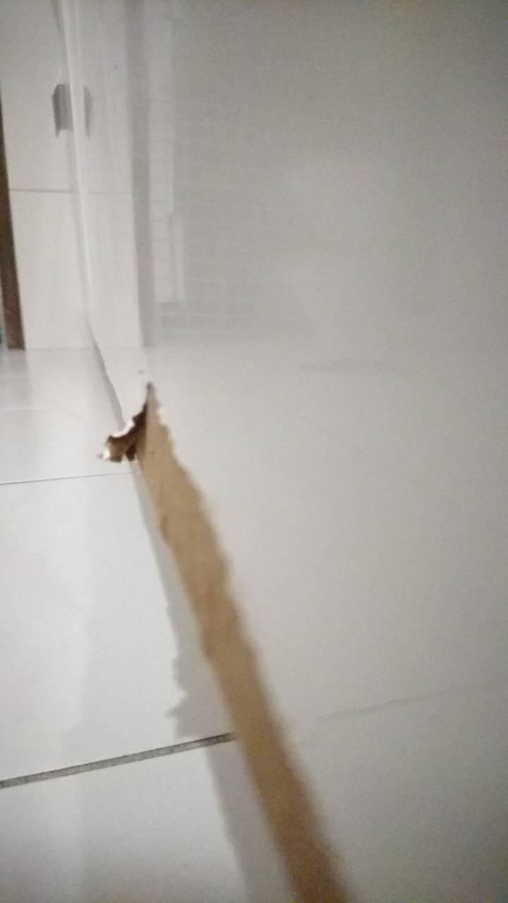 請問木工達人 這樣還有的救嗎?