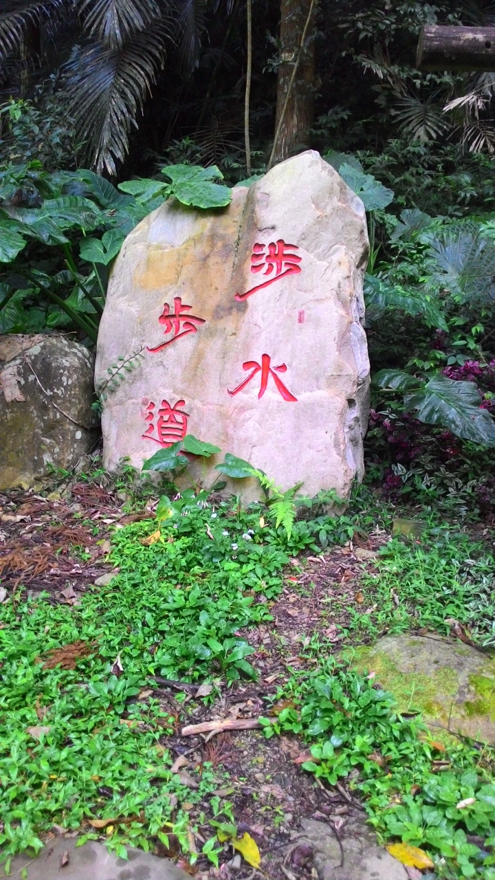 尋櫻之旅-惠蓀林場