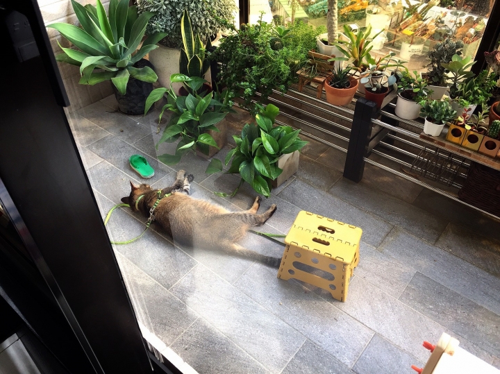 【開箱】質樸溫潤的家