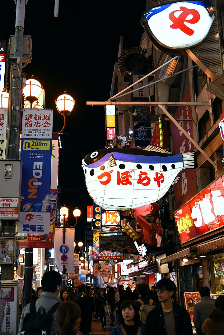 D750 短暫的Kansai 5日
