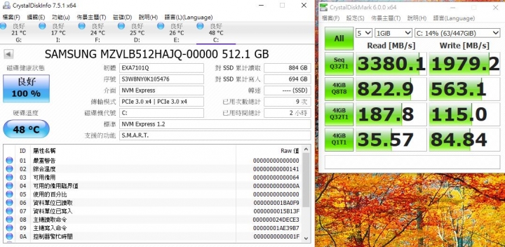 三星 PM 981 M2 512G SSD開箱