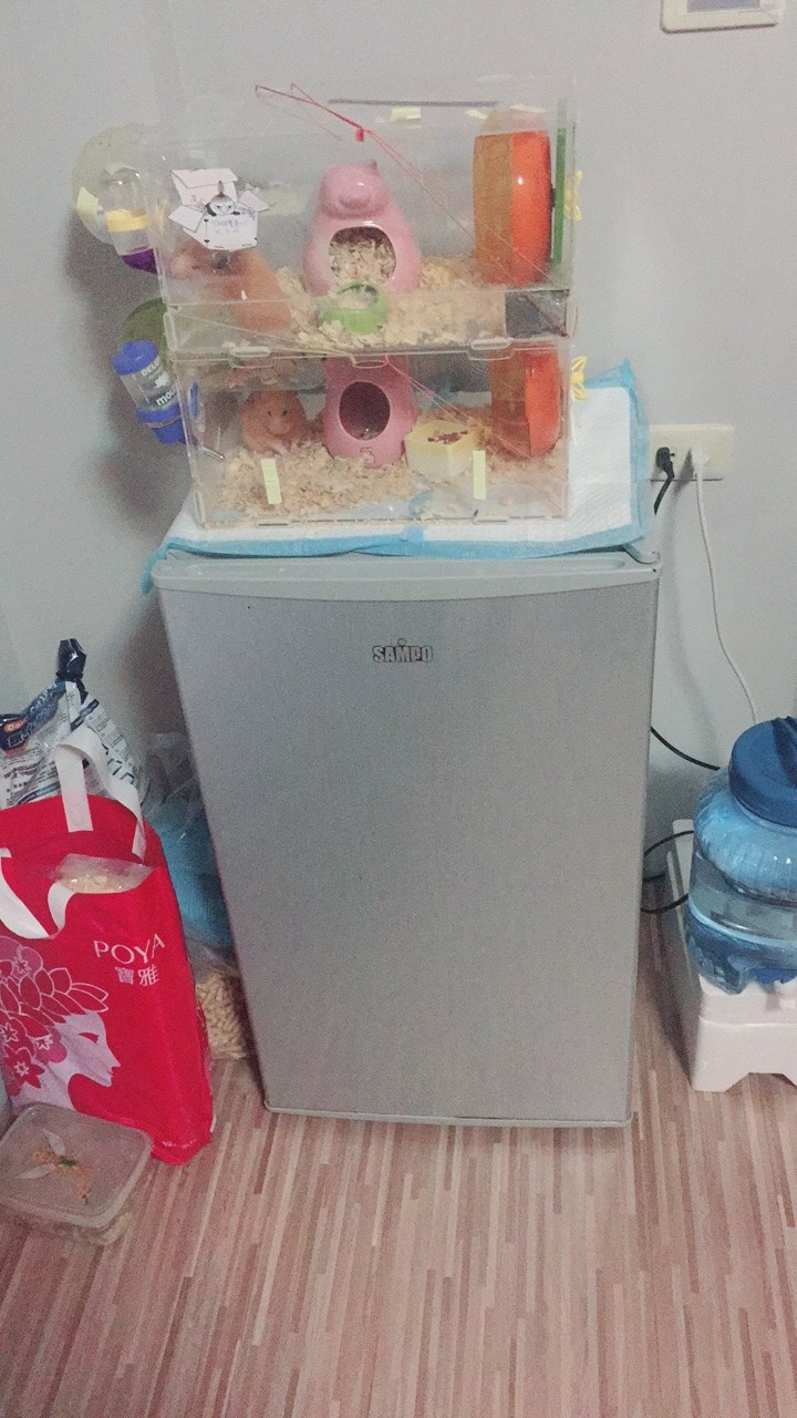 冰箱某條電線被倉鼠咬斷，有危險性嗎(附圖)