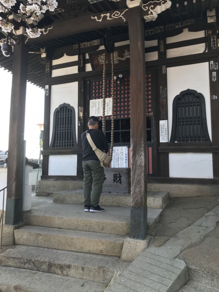 我的日本自由行第三天(尾道櫻花🌸行）