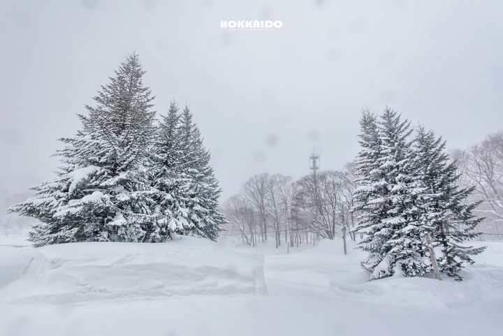 【D750&D700】一年一度雪國親子遊（圖多、後製）