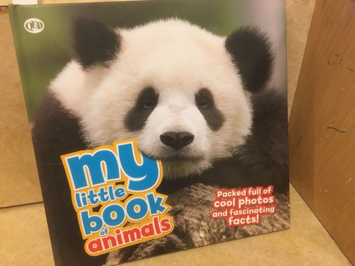 大家都如何幫孩子的童書上書套？