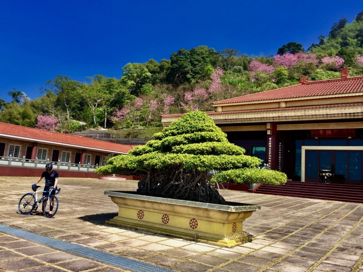 雪的單車遊記～虐人之嘉130公田彌陀禪寺