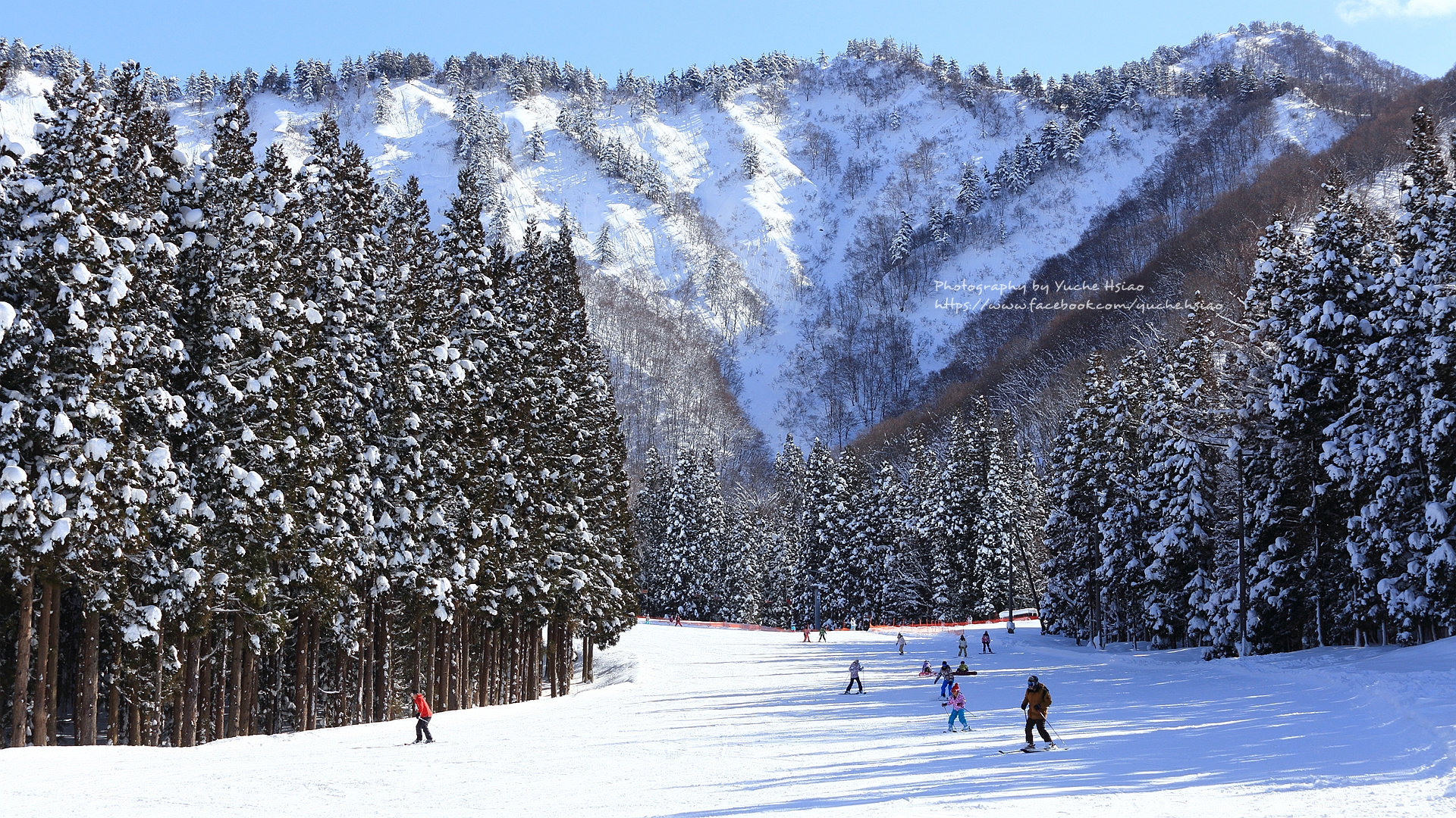 【6D】新潟越後湯澤雪國之美