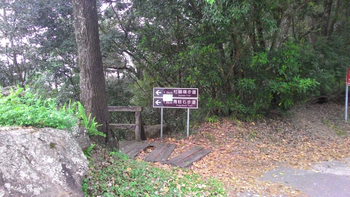 尋櫻之旅-惠蓀林場