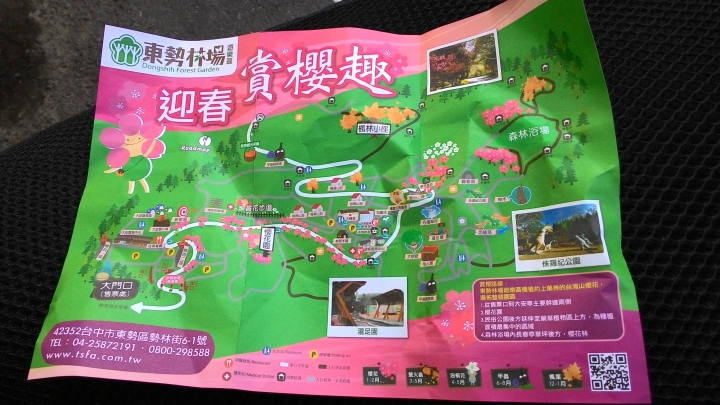櫻花之旅-東勢林場+泰安派出所