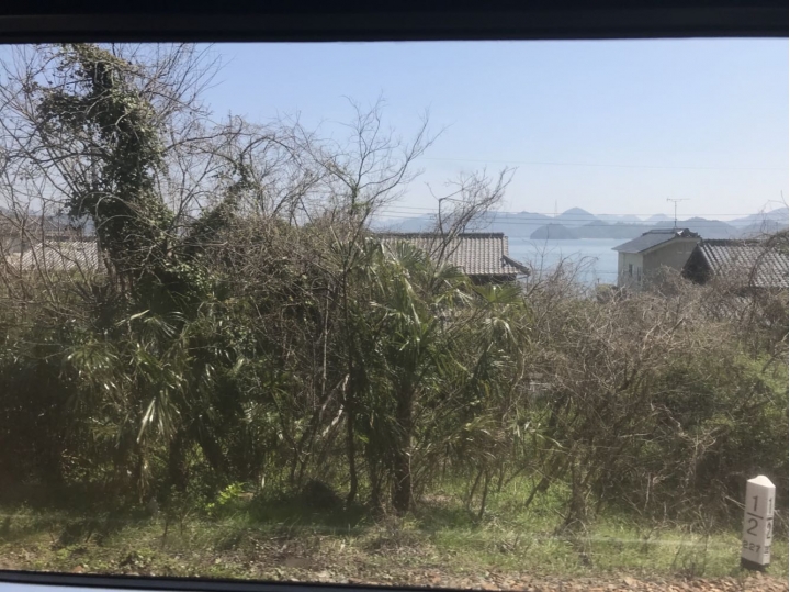我的日本自由行第三天(尾道櫻花🌸行）