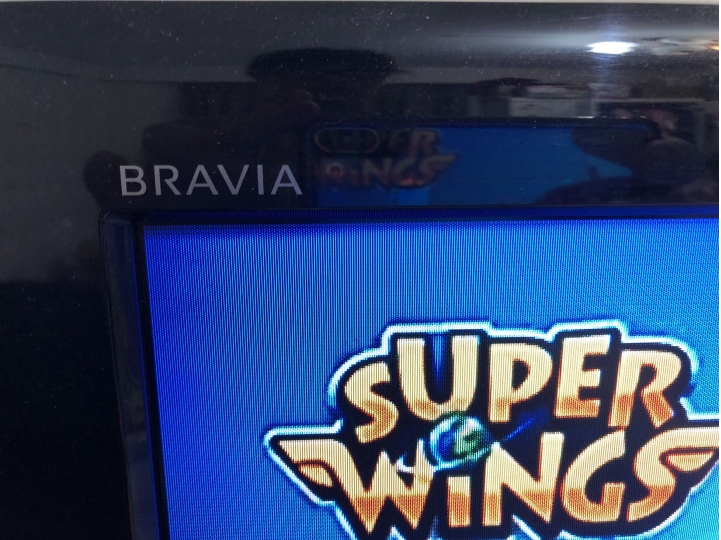 SONY 電視 看到退色 要找誰修比較好？