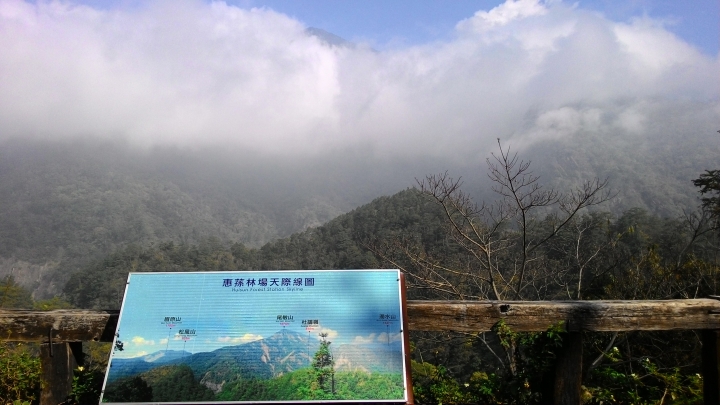 尋櫻之旅-惠蓀林場