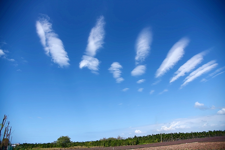 天空中的孔雀開屏，地面上的大蘑菇、大草莓和大蘋果。