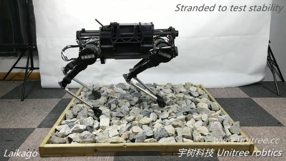 中國也做出 """"類似"""" Boston Dynamics Robots 的機械狗