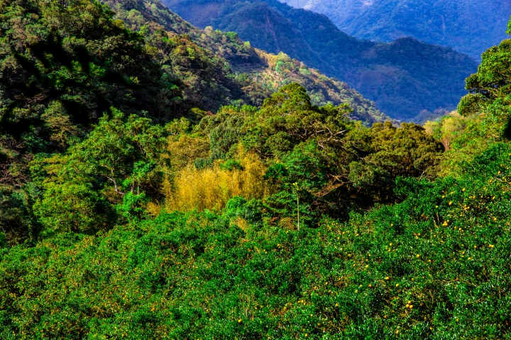 三峽 熊空  雲森瀑布