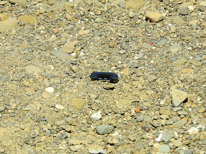 200-500mm和600mm加上1.4X比較