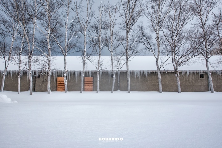 【D750&D700】一年一度雪國親子遊（圖多、後製）