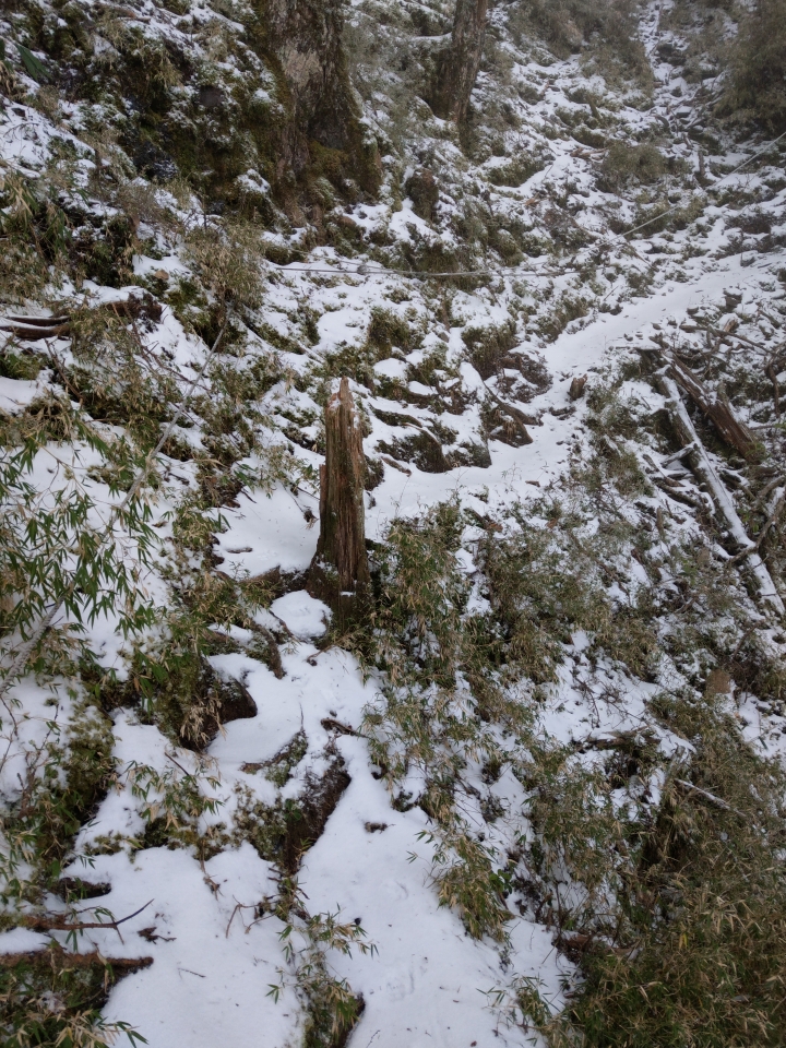 雪季南二段