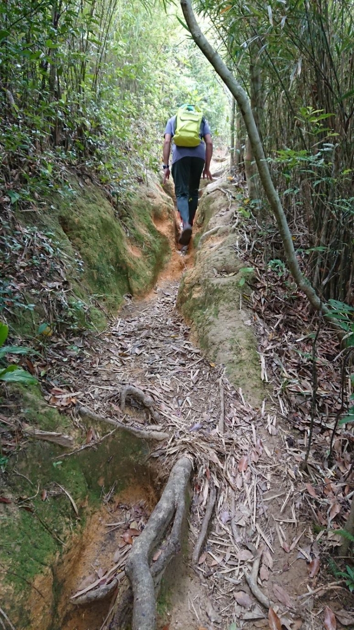 到日本騎車去...南島馬路馬路