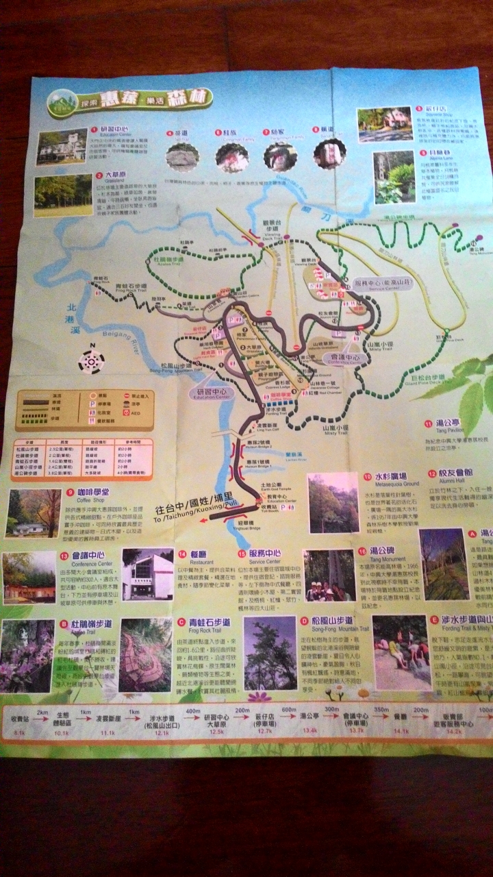 尋櫻之旅-惠蓀林場