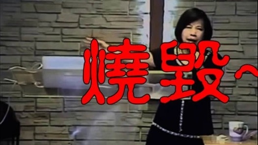 淘寶牌鋰鐵電池