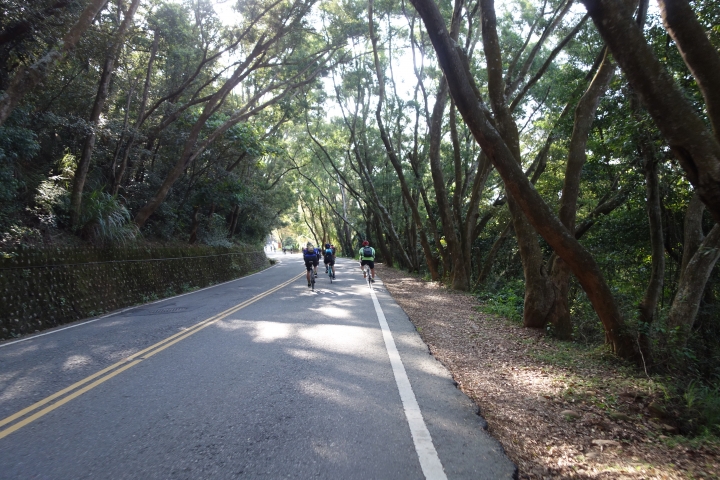 2018年，春，彰化環化賽小旅行，