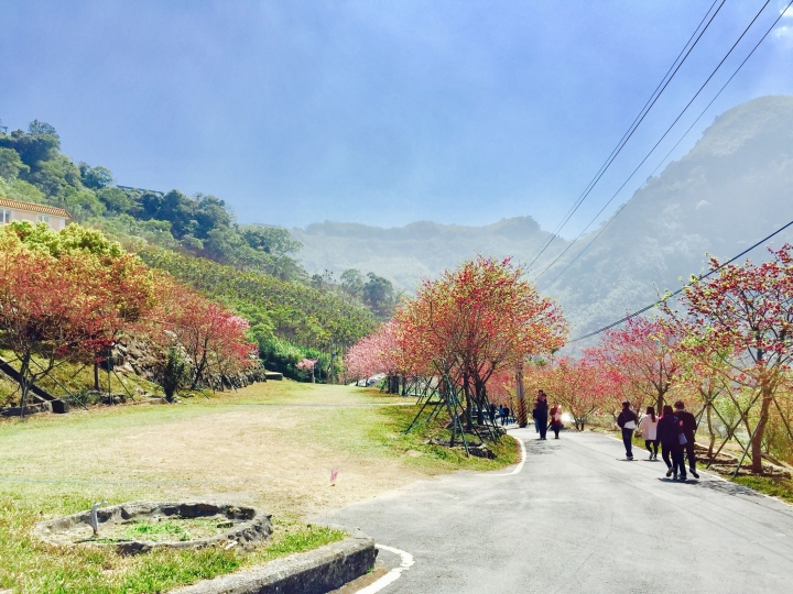 雪的單車遊記～虐人之嘉130公田彌陀禪寺