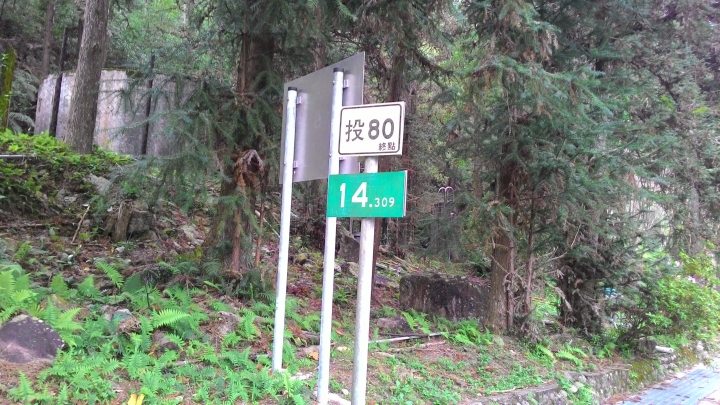 尋櫻之旅-惠蓀林場