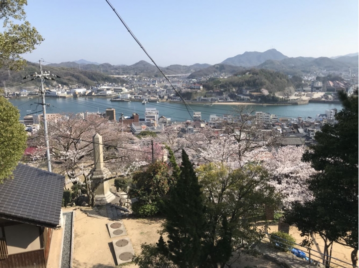 我的日本自由行第三天(尾道櫻花🌸行）