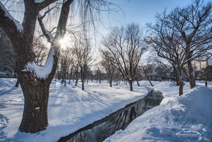 【D750&D700】一年一度雪國親子遊（圖多、後製）