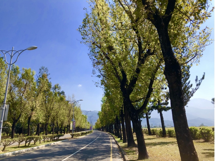 3/11kcp單車倉庫屏科大映霞靜思行