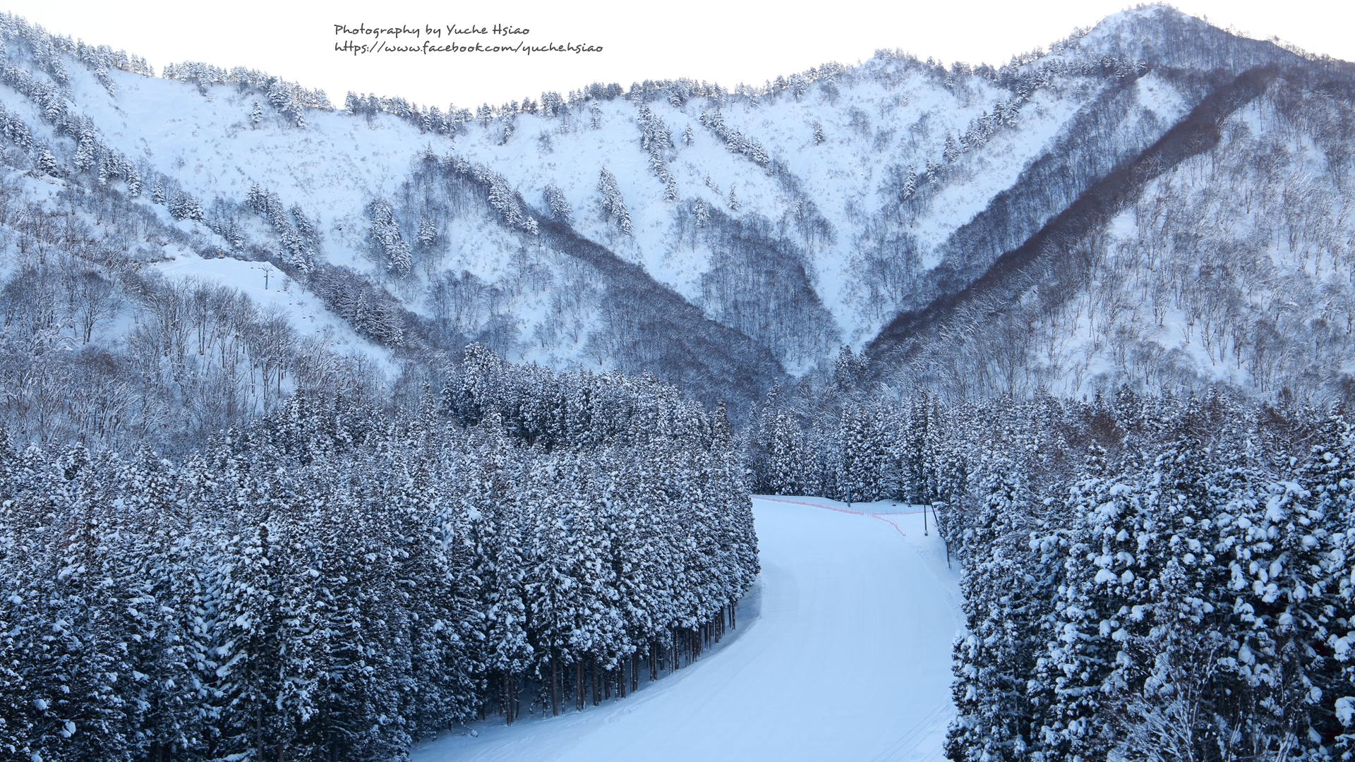 【6D】新潟越後湯澤雪國之美