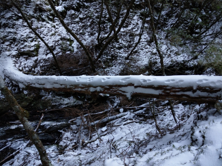 雪季南二段