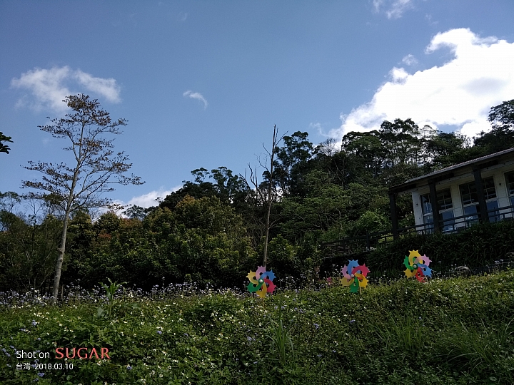 糖果手機 SUGAR S11 四鏡全螢幕手機的奇幻體驗分享 — 熱鬧的燈會、盛開的櫻花、台車與瀑布、深山茶廠、新住民嘉年華會及美味燒肉的饗宴