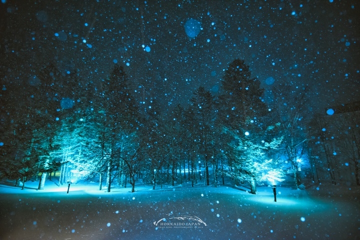 【D750&D700】一年一度雪國親子遊（圖多、後製）