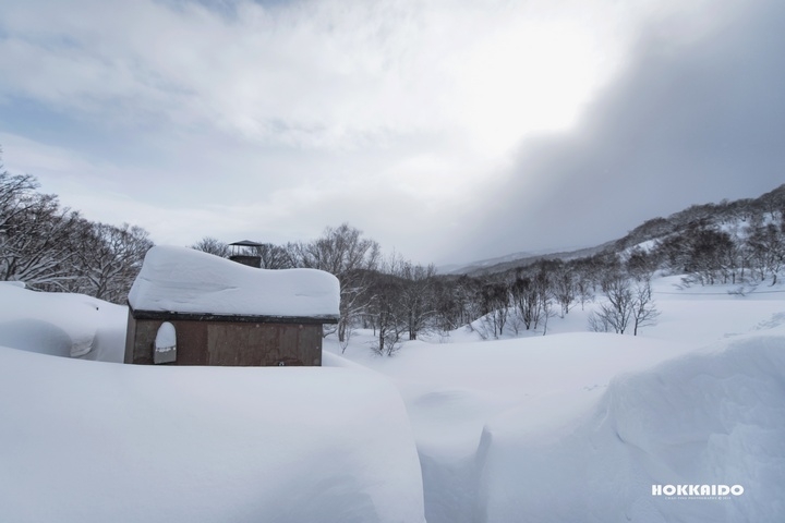 【D750&D700】一年一度雪國親子遊（圖多、後製）