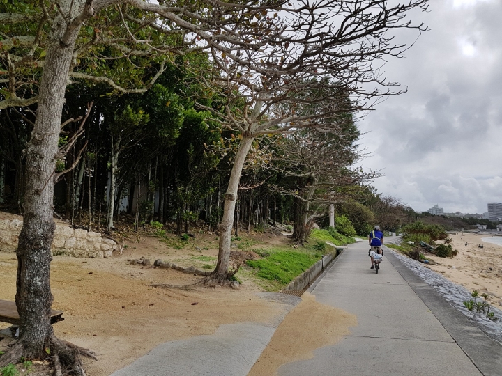 到日本騎車去...南島馬路馬路