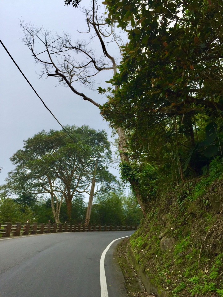 雪的單車遊記～虐人之嘉130公田彌陀禪寺